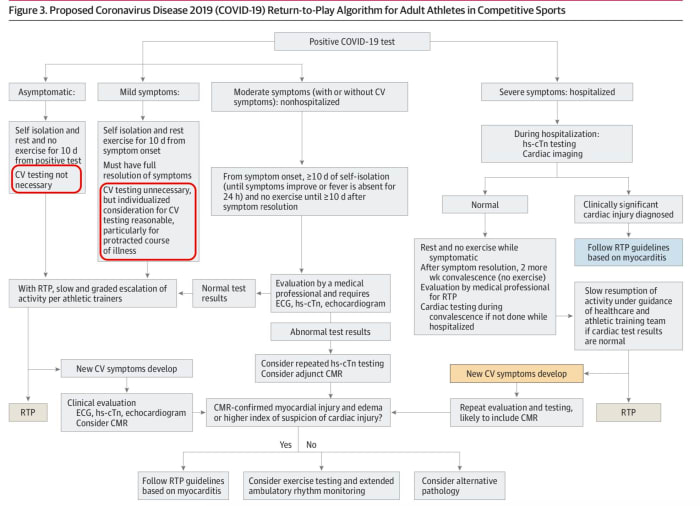 A flowchart from the study on cardiac screening necessity